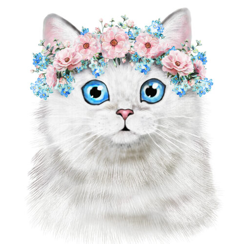 Kissa, siniset silmät, silityskuva, pieni