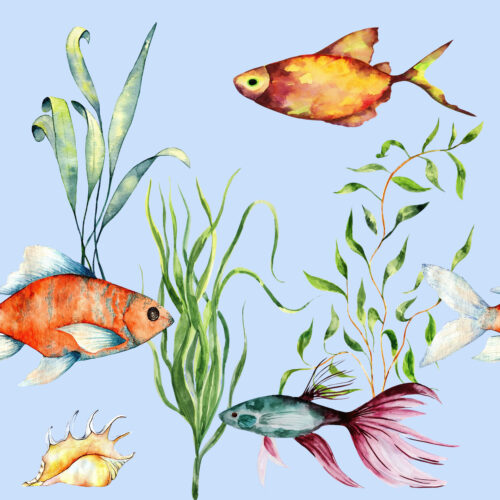 PALA 70cm: Veden alla, luomutrikoo