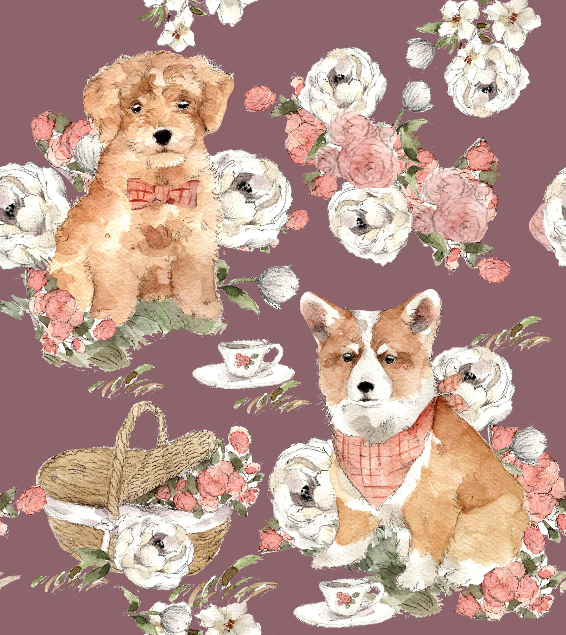 Koiranpennut, vanha violetti, luomutrikoo