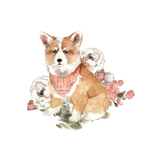 Koiranpentu, huivi, silityskuva, pieni