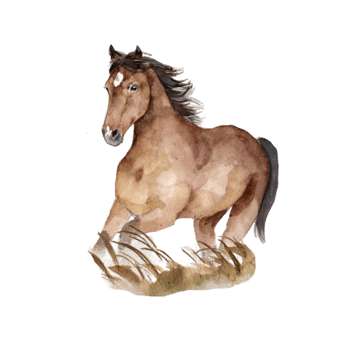 Hevonen, laukkaava, silityskuva, pieni