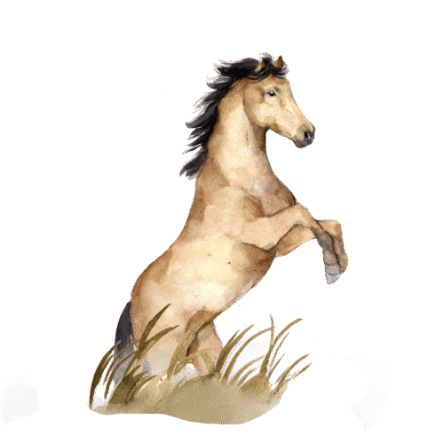 Hevonen, seisova, silityskuva, pieni