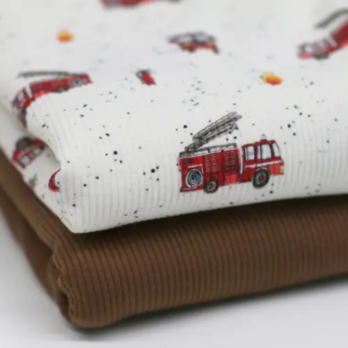 Paloautot, ribbitrikoo