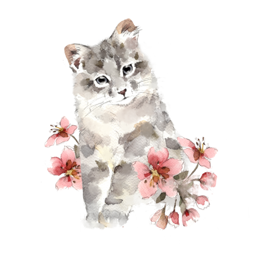 Miisu, silmät auki, silityskuva, pieni