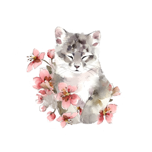 Miisu, silmät kiinni, silityskuva, pieni