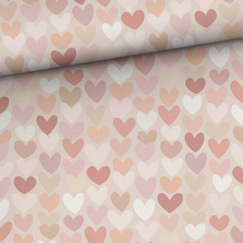 Sydänystävä, joustocollege