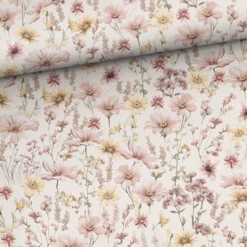 Elaine, joustocollege