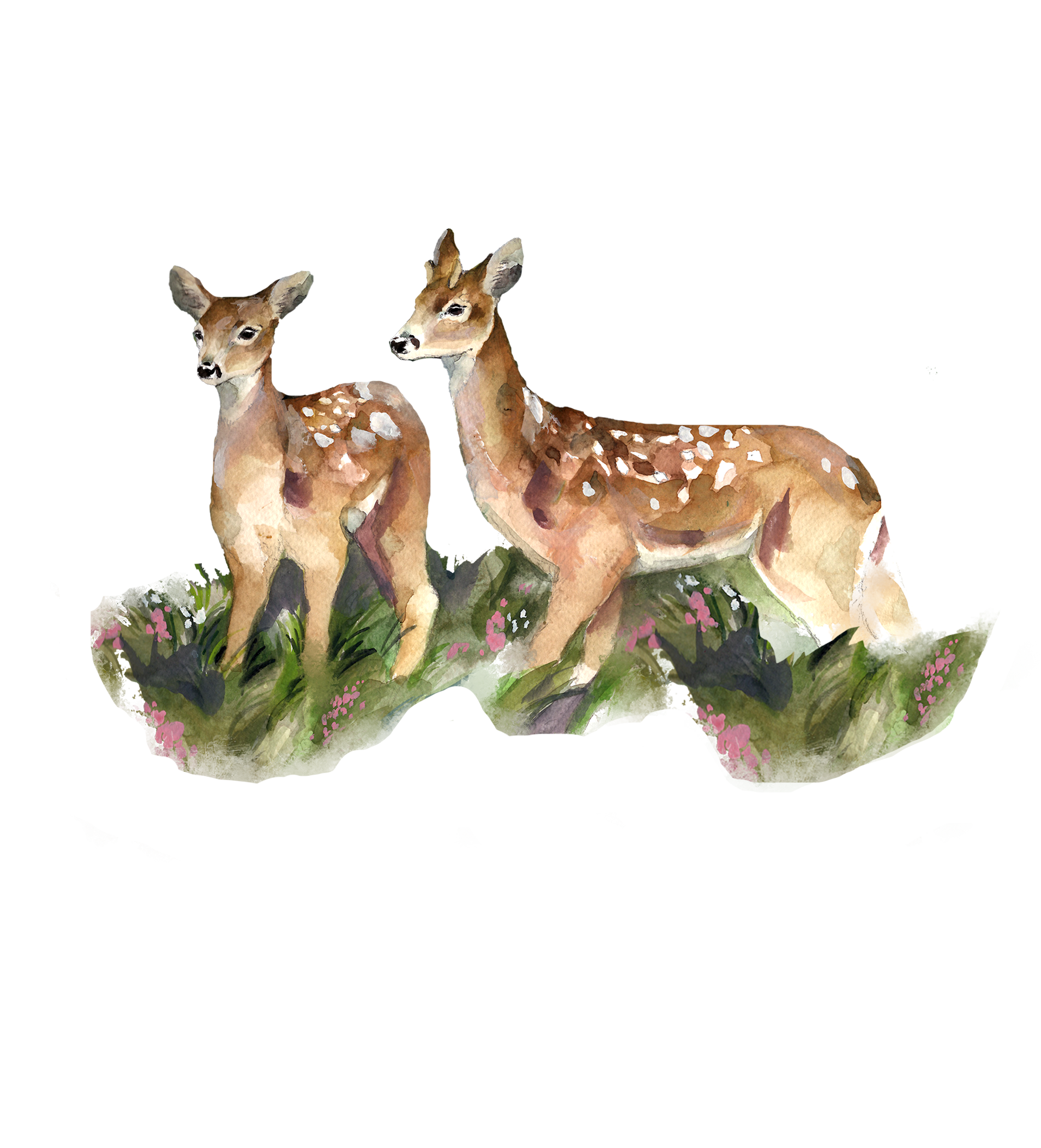 Bambit, silityskuva, keskikoko