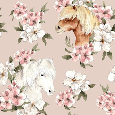 shetlanninpnit puuteri